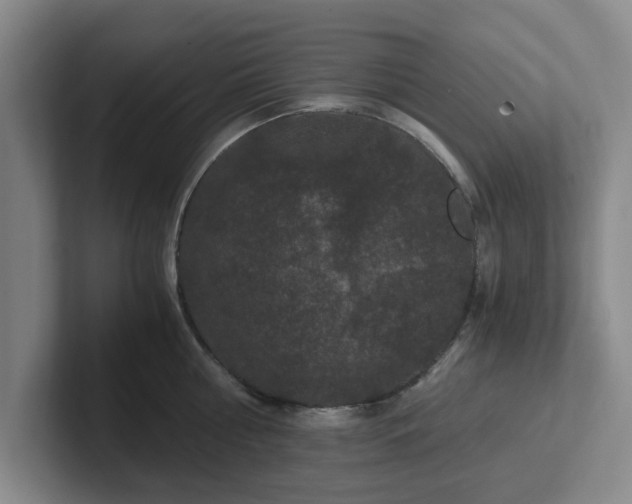 X0000102480810200808151449