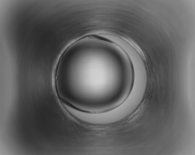 X0000102480813200808151448