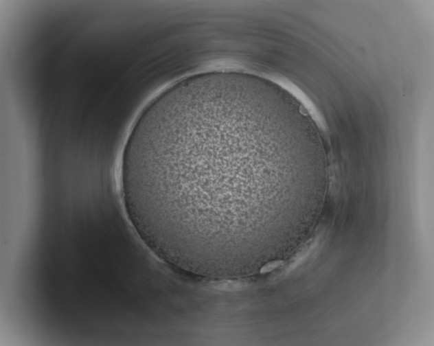 X0000102480815200808151448