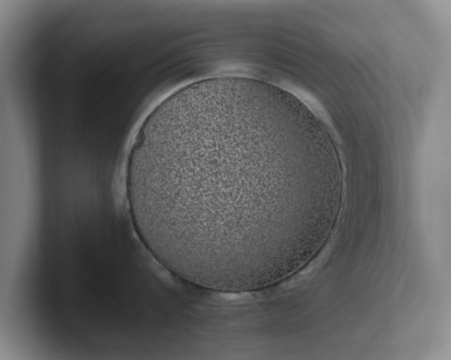 X0000102480816200808151448