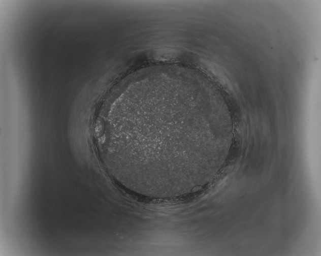 X0000102480817200808151448