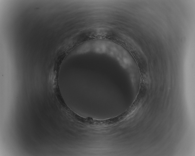 X0000102480818200808151448