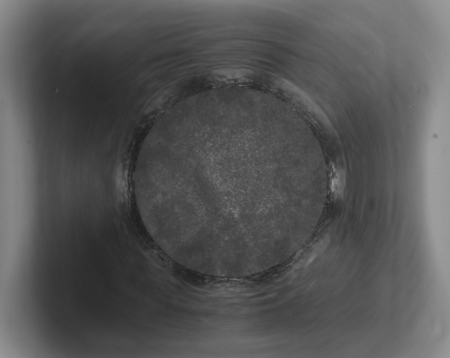 X0000102480819200808151448