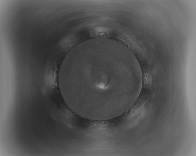 X0000102480820200808151448