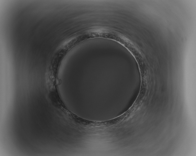 X0000102480822200808151448