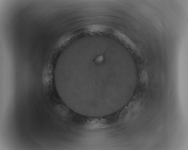 X0000102480824200808151448