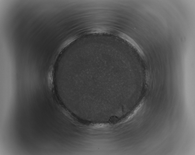 X0000102480826200808151448