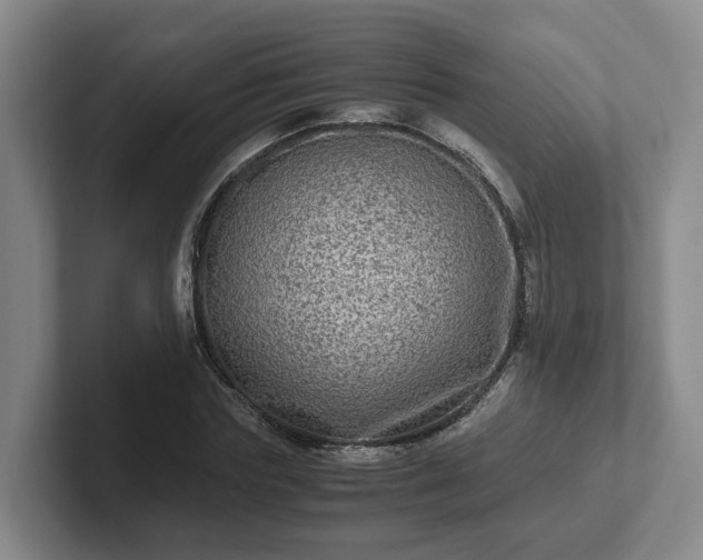 X0000102480827200808151448