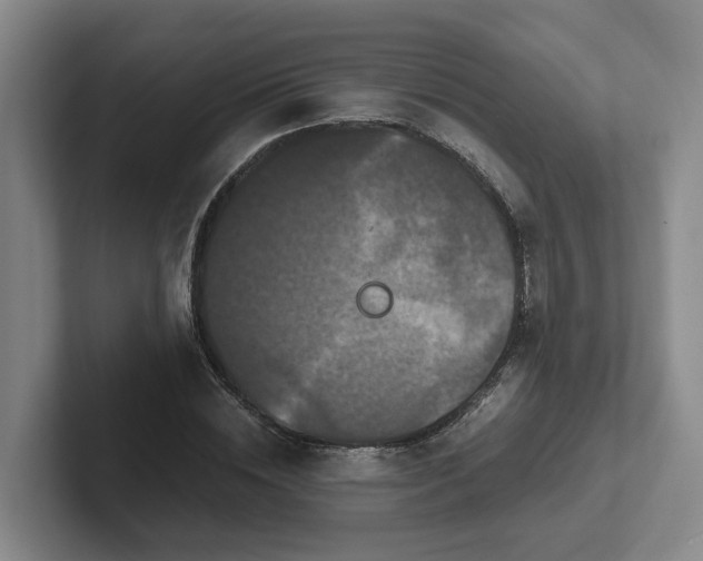 X0000102480828200808151448