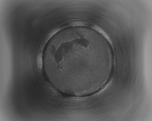 X0000102480829200808151448