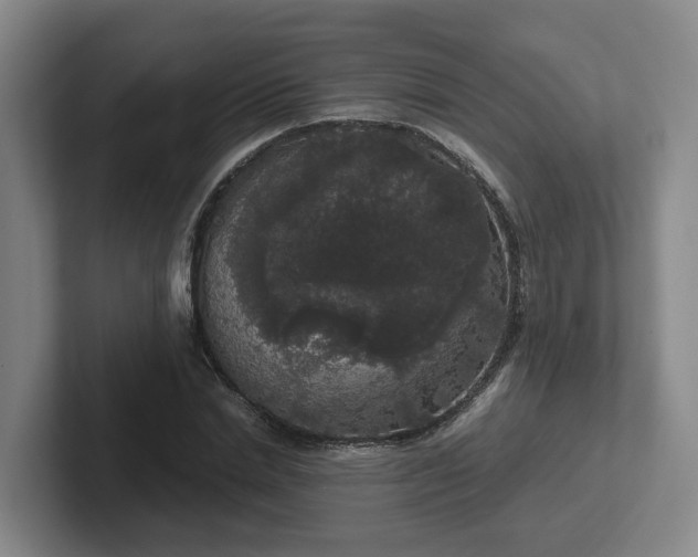 X0000102480830200808151448