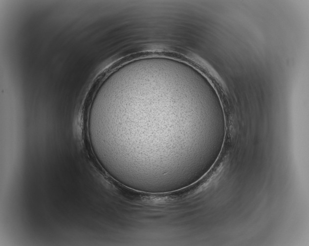 X0000102480831200808151448