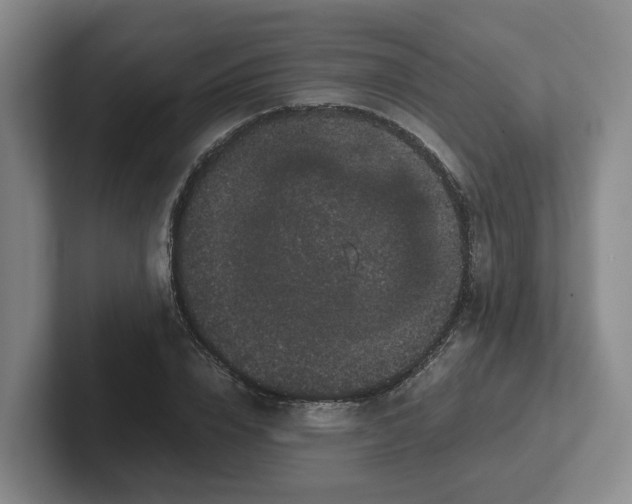 X0000102480832200808151448