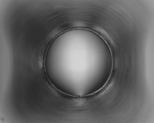 X0000102480833200808151448