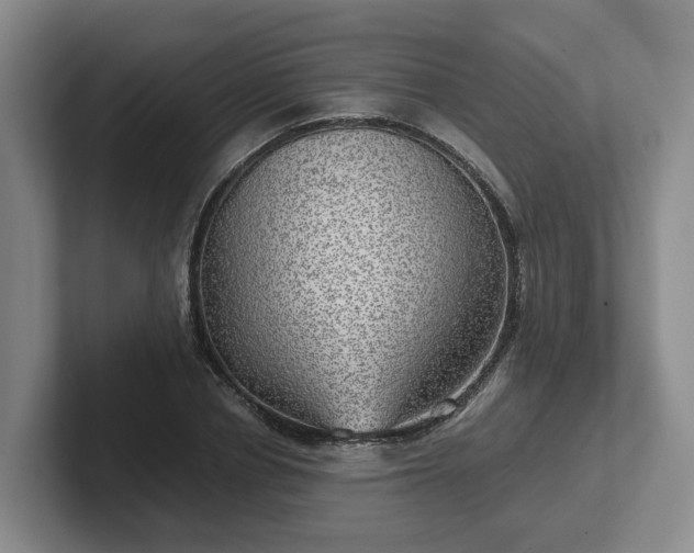 X0000102480834200808151448