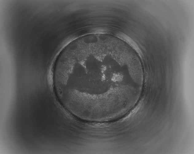 X0000102480835200808151448