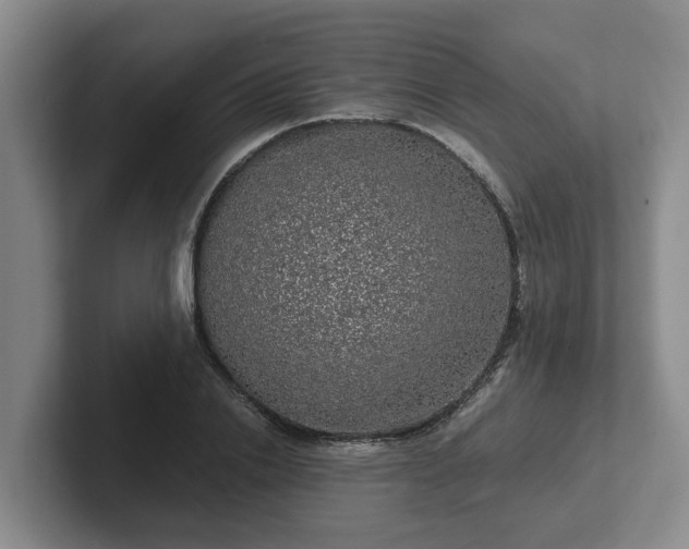 X0000102480838200808151448