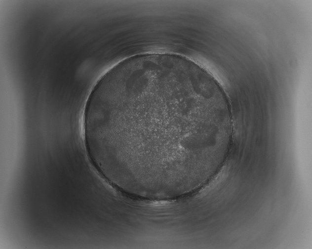 X0000102480839200808151448