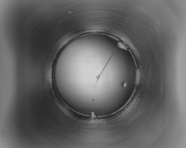 X0000102480842200808151448