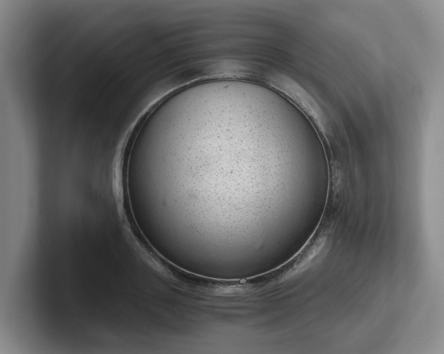 X0000102480843200808151448