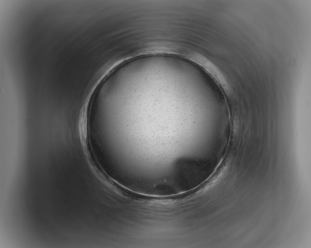 X0000102480844200808151448