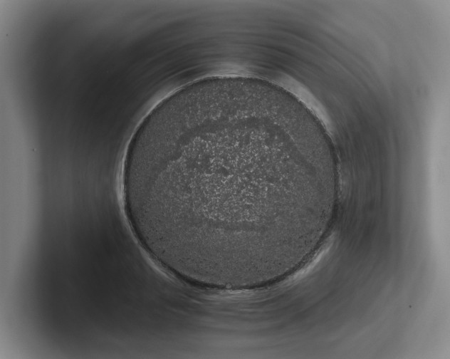 X0000102480845200808151448