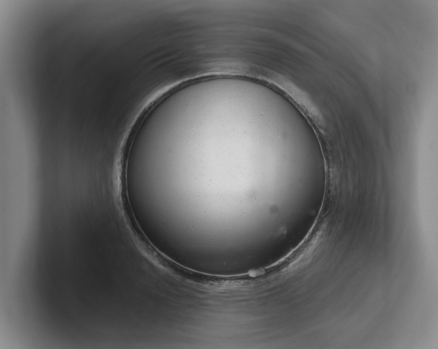 X0000102480846200808151448