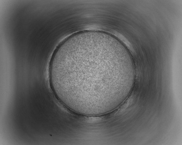 X0000102480848200808151448