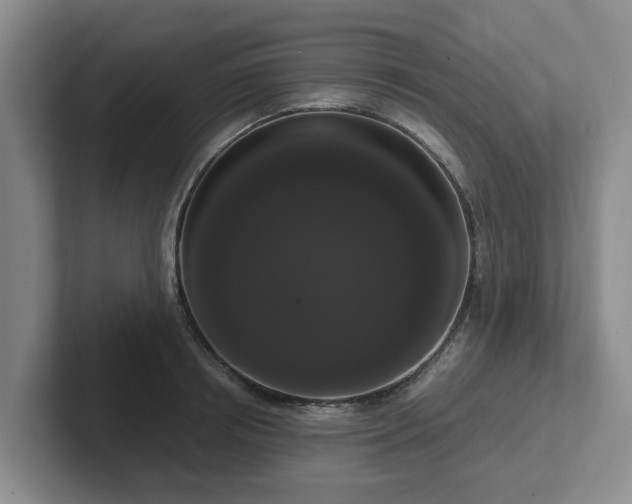 X0000102480850200808151448