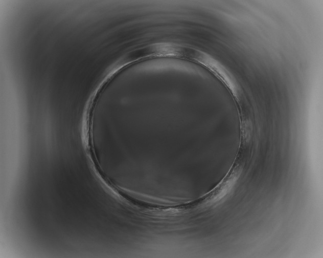 X0000102480851200808151448