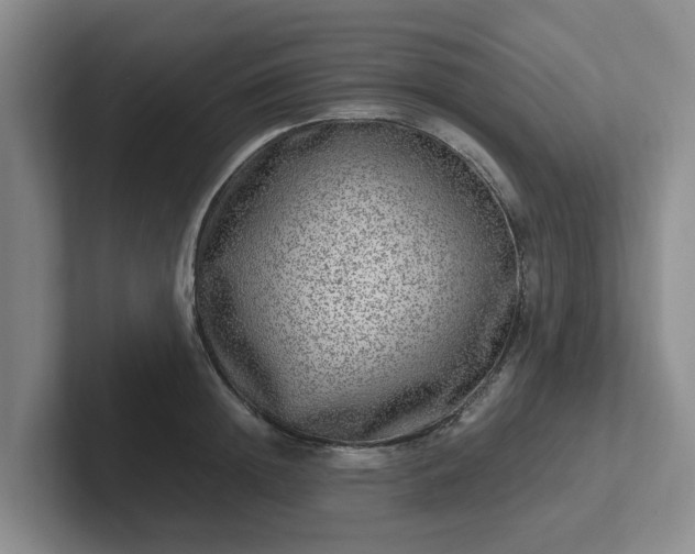 X0000102480852200808151448