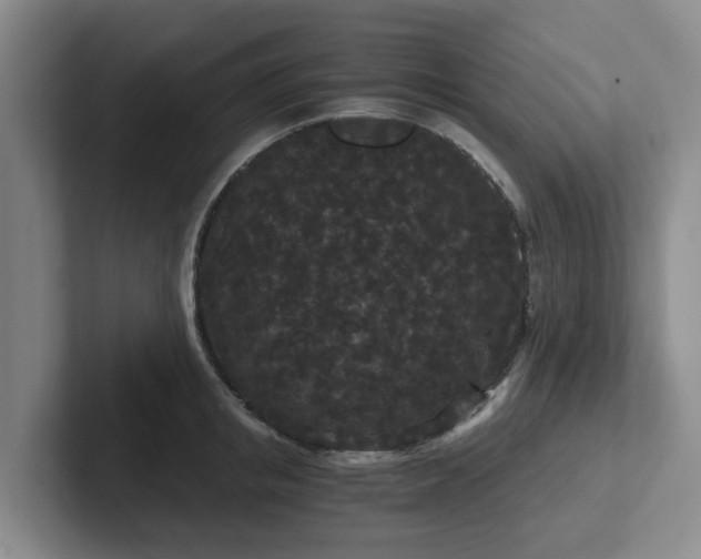 X0000102480853200808151448