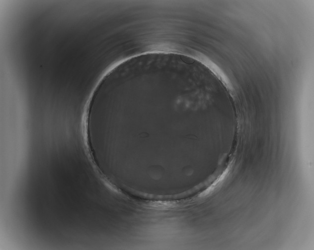 X0000102480854200808151448