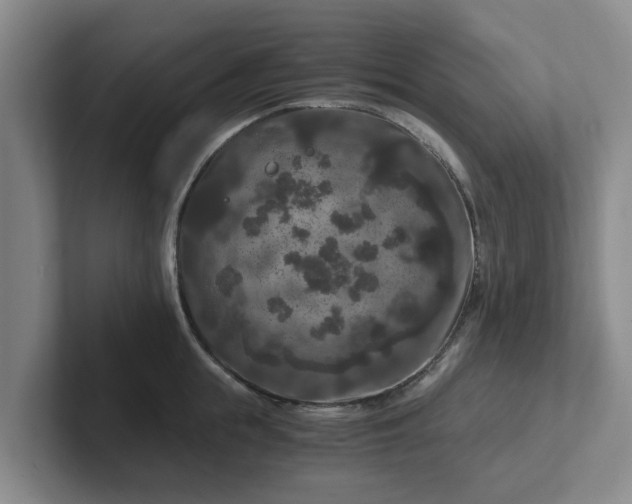 X0000102480855200808151448