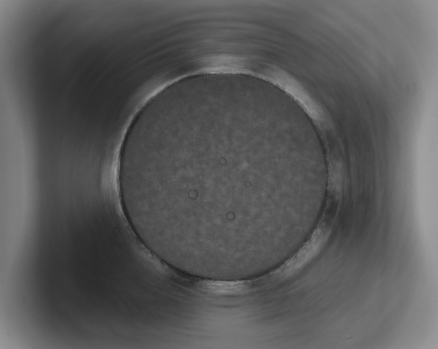 X0000102480856200808151448