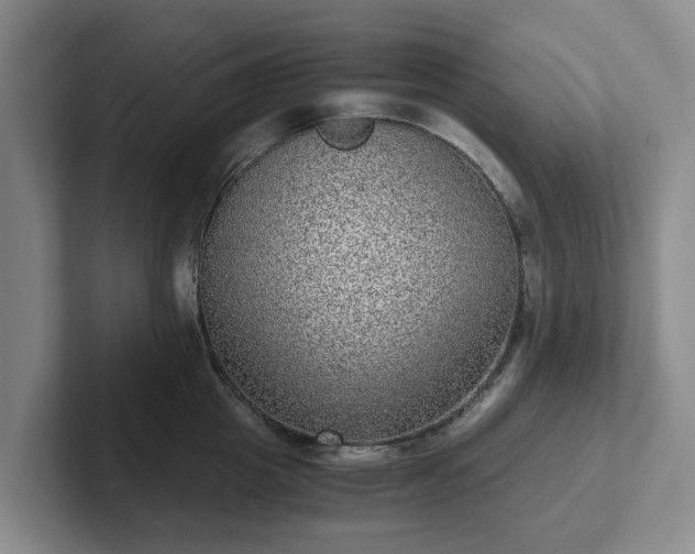 X0000102480857200808151448