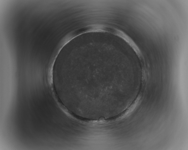 X0000102480858200808151448