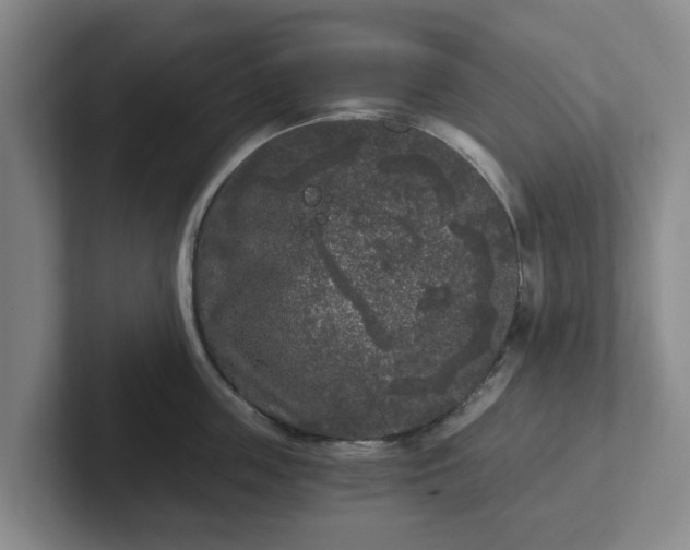 X0000102480859200808151448