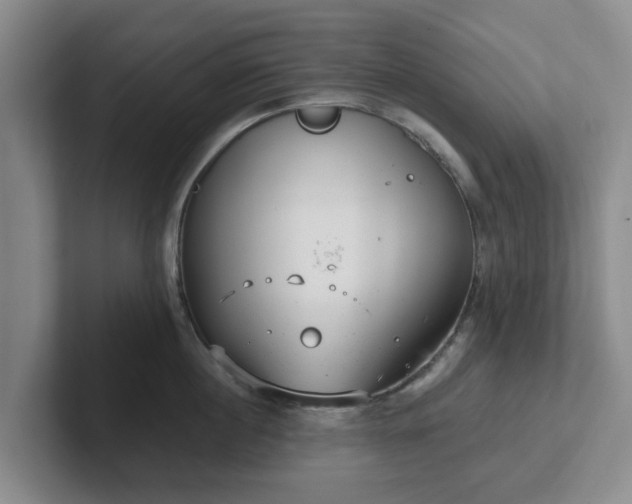 X0000102480860200808151448