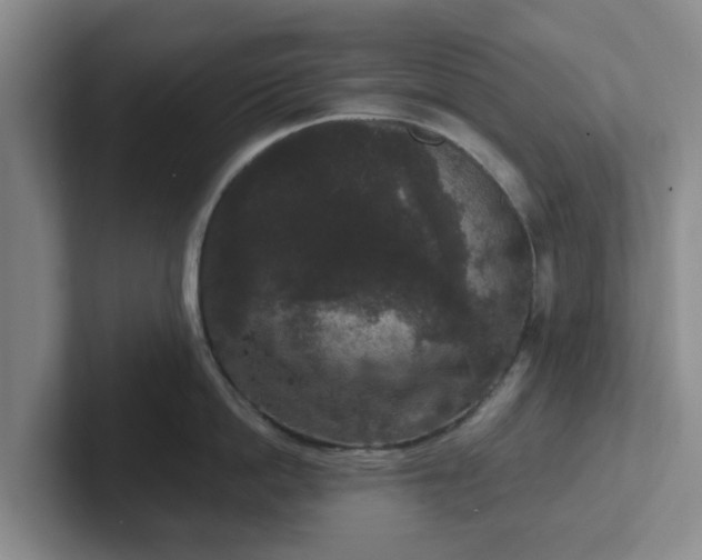 X0000102480862200808151448