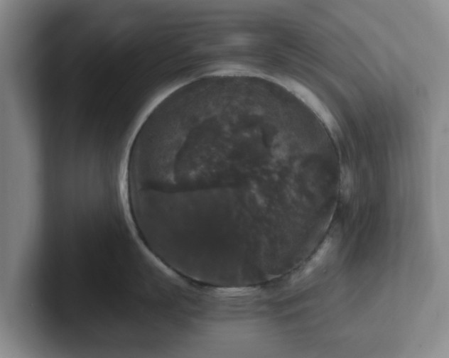 X0000102480863200808151448