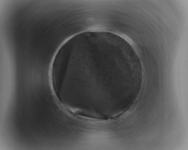 X0000102480864200808151448