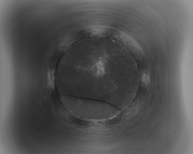 X0000102480868200808151448