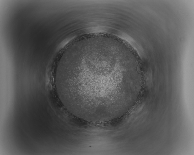 X0000102480871200808151448