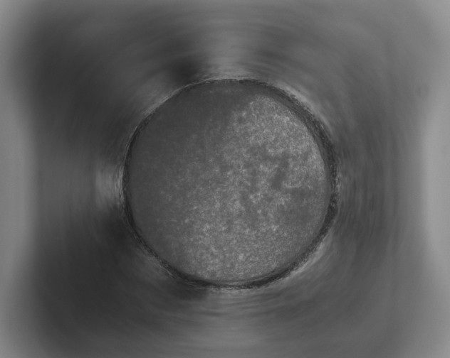 X0000102480873200808151448