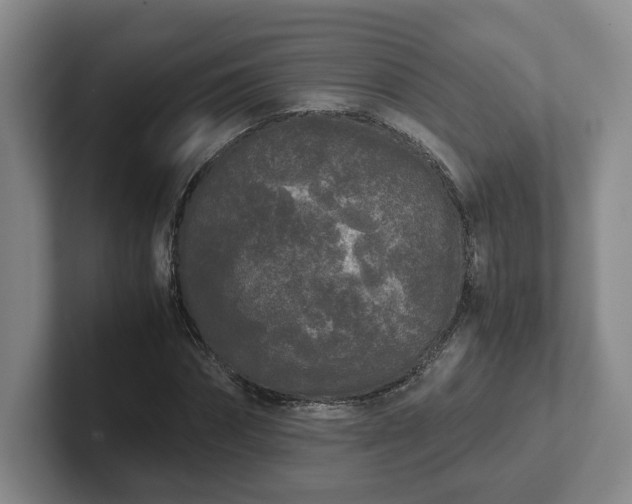 X0000102480874200808151448