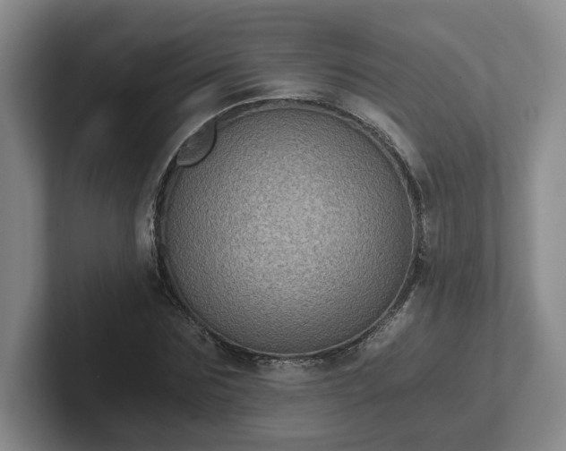 X0000102480875200808151448