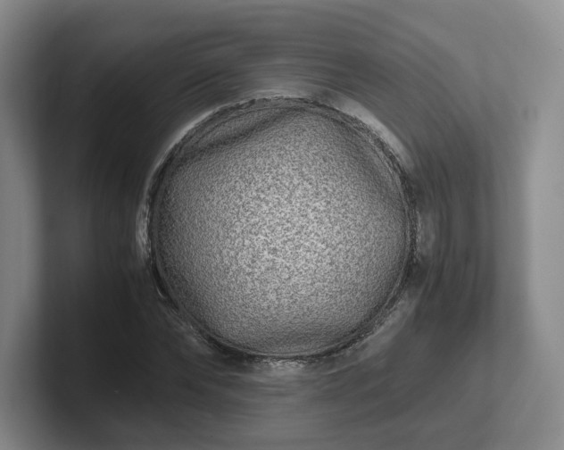 X0000102480878200808151447