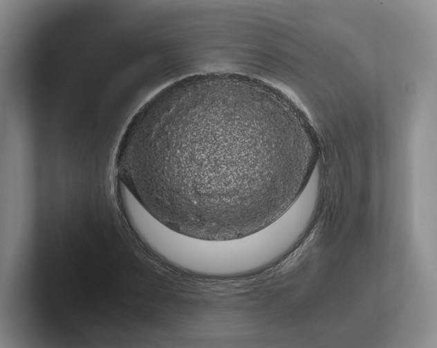 X0000102480879200808151447