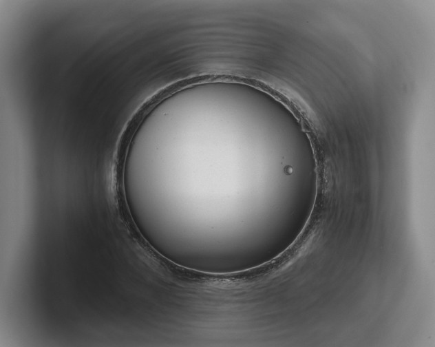 X0000102480880200808151447